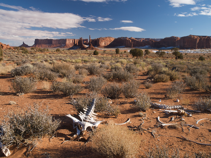 Totem Pole, Monument Valley