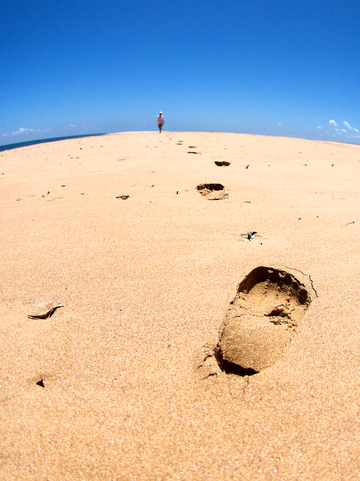 Leave Only Footprints