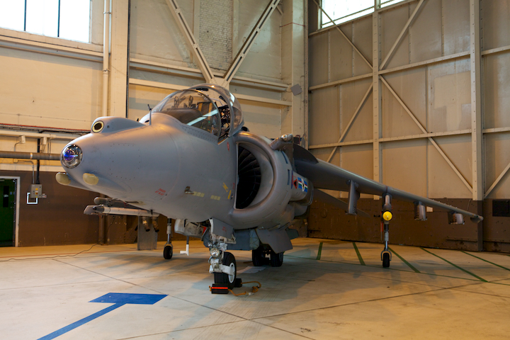 Harrier