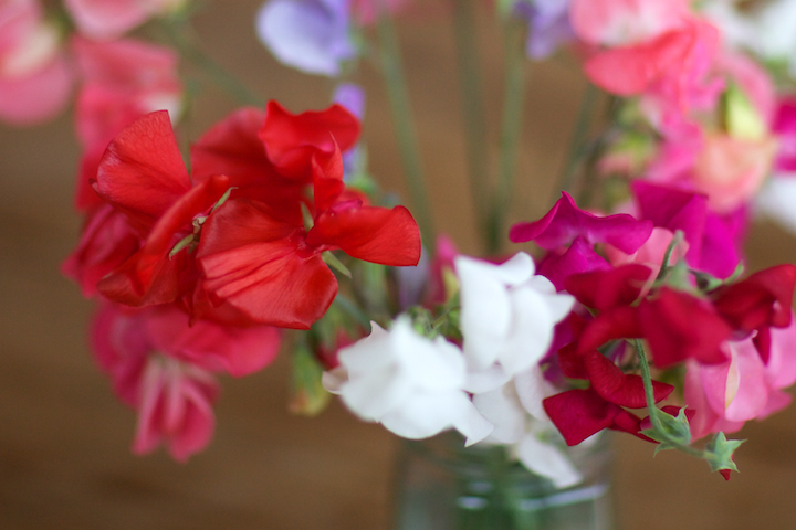 Sweet Peas